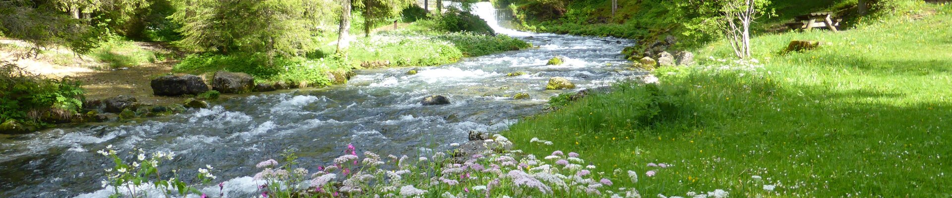 Les sources du Doubs et ses tournières